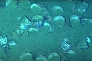 Colombia Finds Two Shipwrecks Near Spanish Treasure Galleon San José