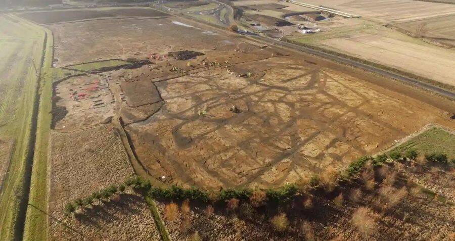 Archaeologists Puzzle Over Frog Bones Found In An Iron Age Ditch