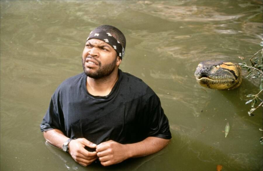 Ice Cube In Anaconda