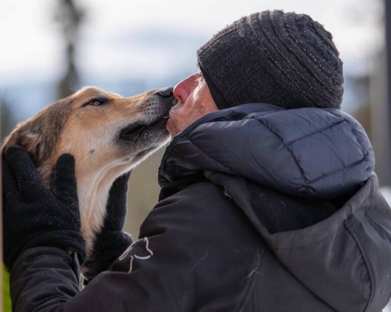 Missing Iditarod Dog Found — After Disappearing Into Alaskan Wilderness(02)