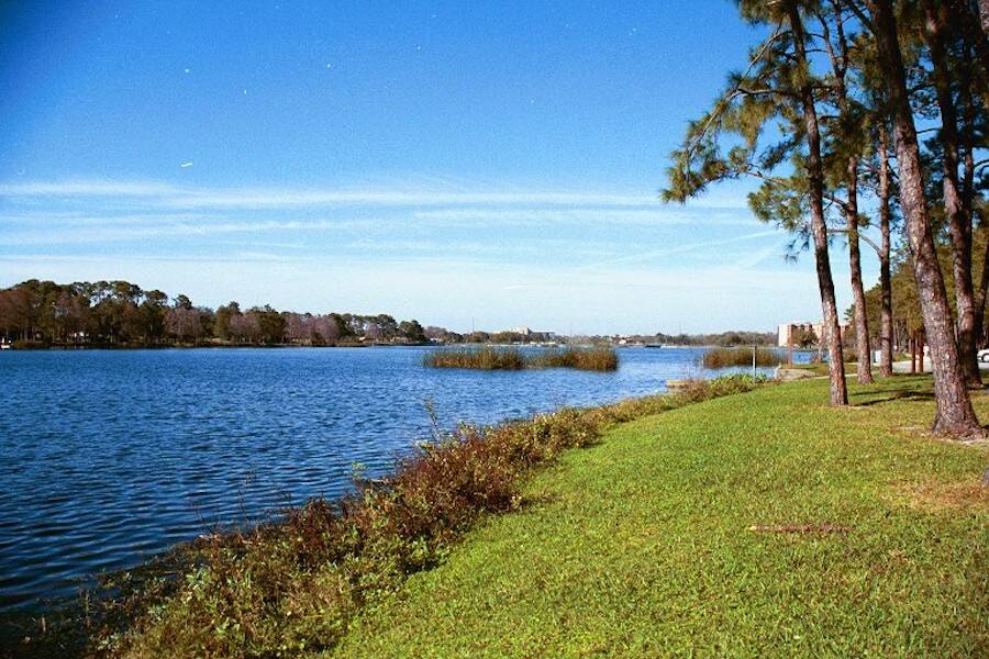 Taylor Lake In Largo Florida