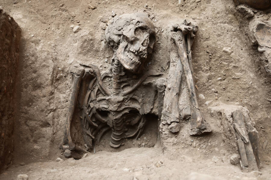 Skeleton unearthed from Real De San Andres Hospital