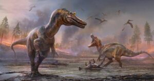 White Rock Spinosaurid