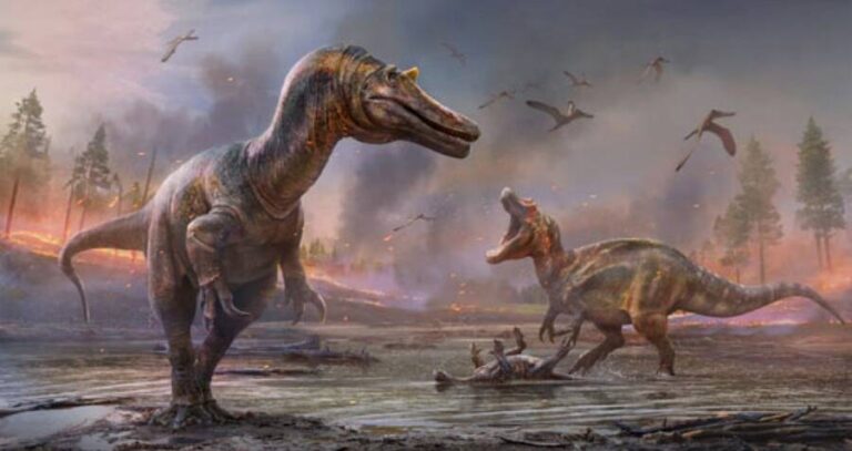 White Rock Spinosaurid