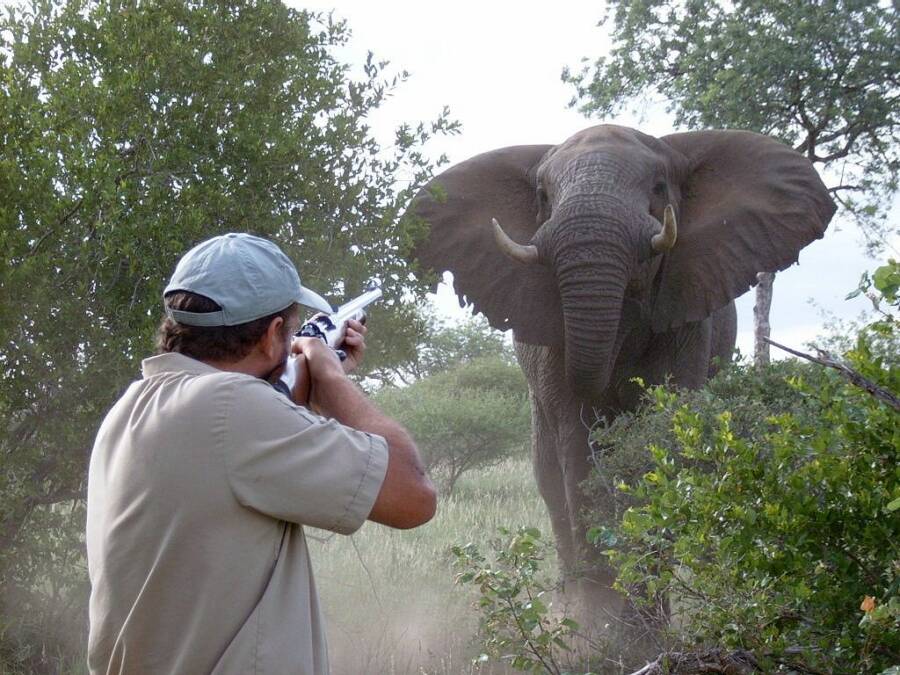 Man Shooting Elephant