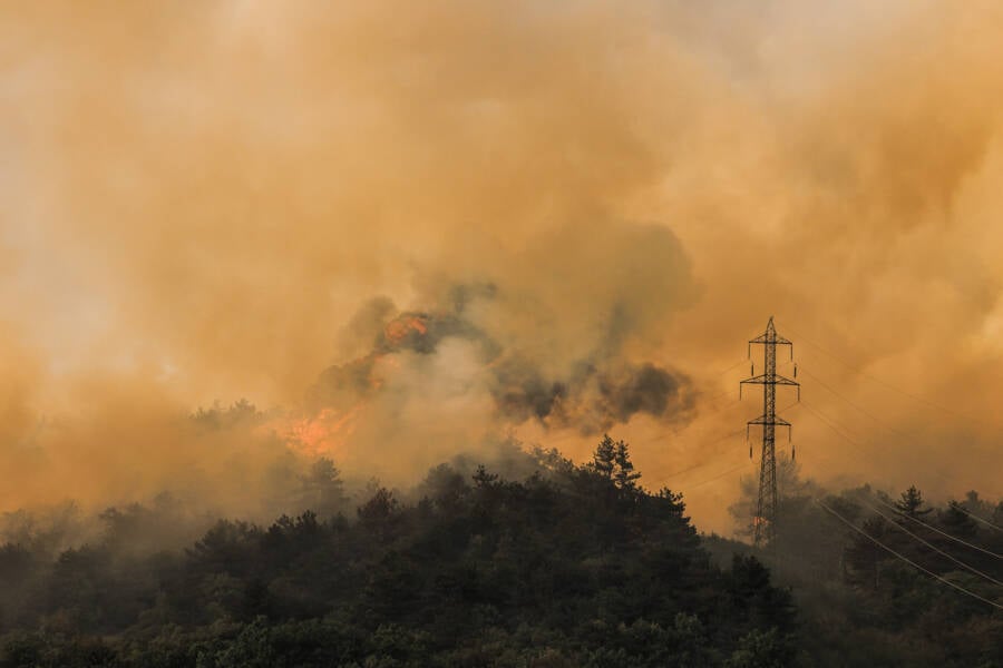 Slovenia Wildfire