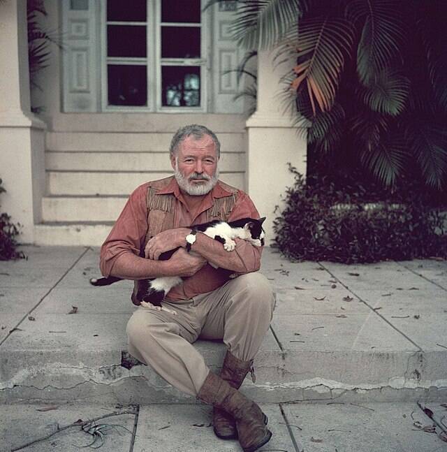 Ernest Hemingway Holding A Black And White Cat