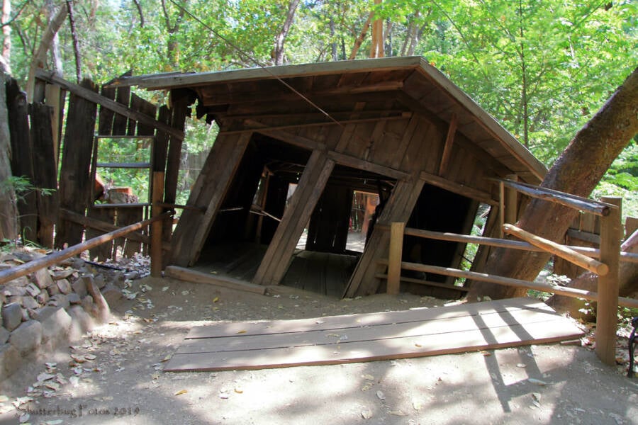 House Of Mystery At The Oregon Vortex