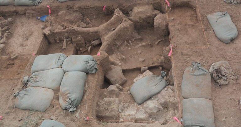 Mammoth Archaeological Site