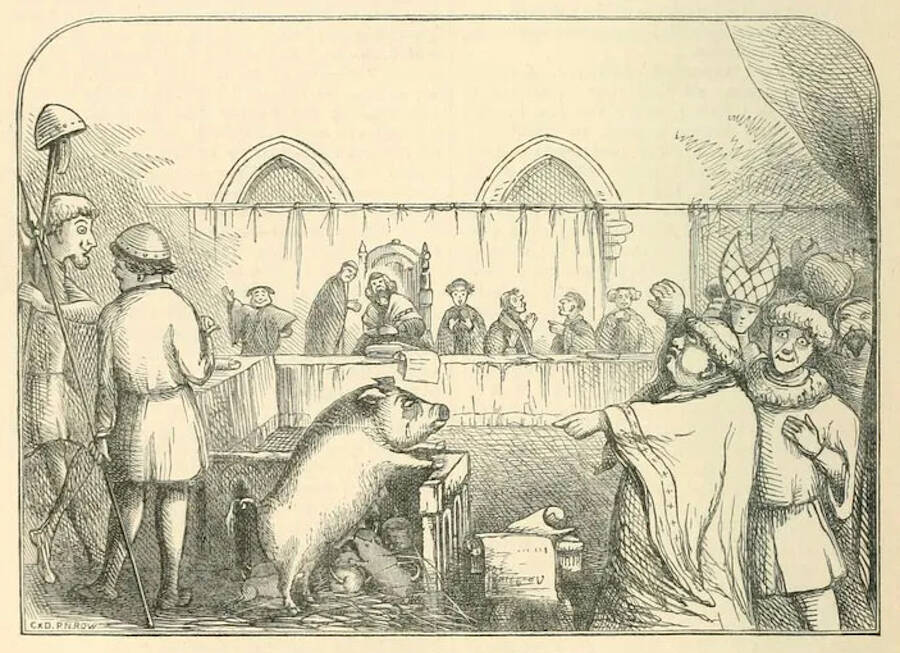 Medieval Animal Trial For Pig