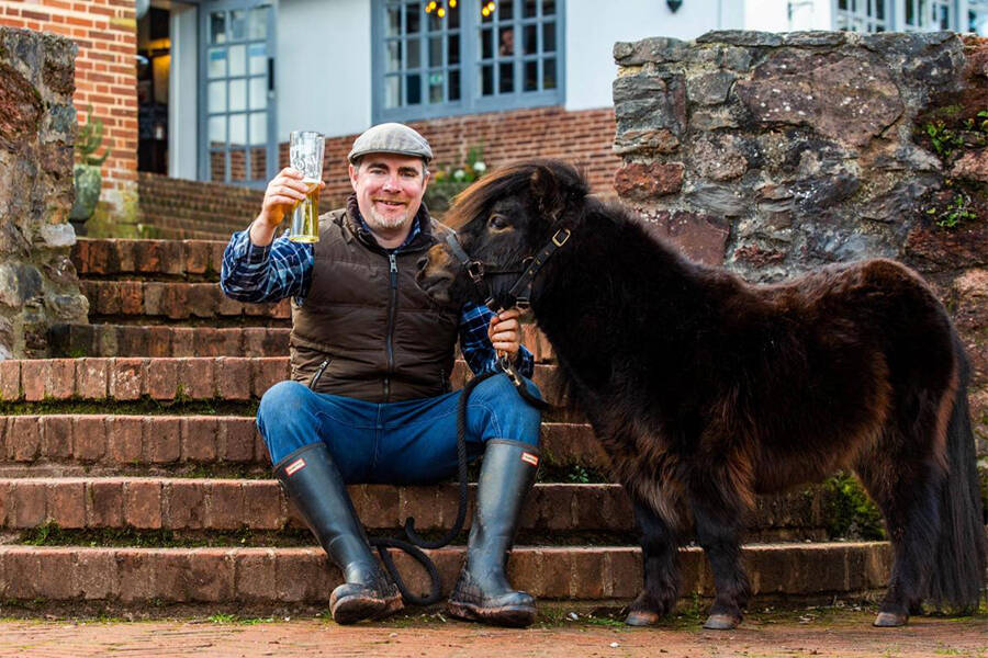 This English Village Just Chose A New Mayor — And He’s A Pony Who Likes To Drink Guinness