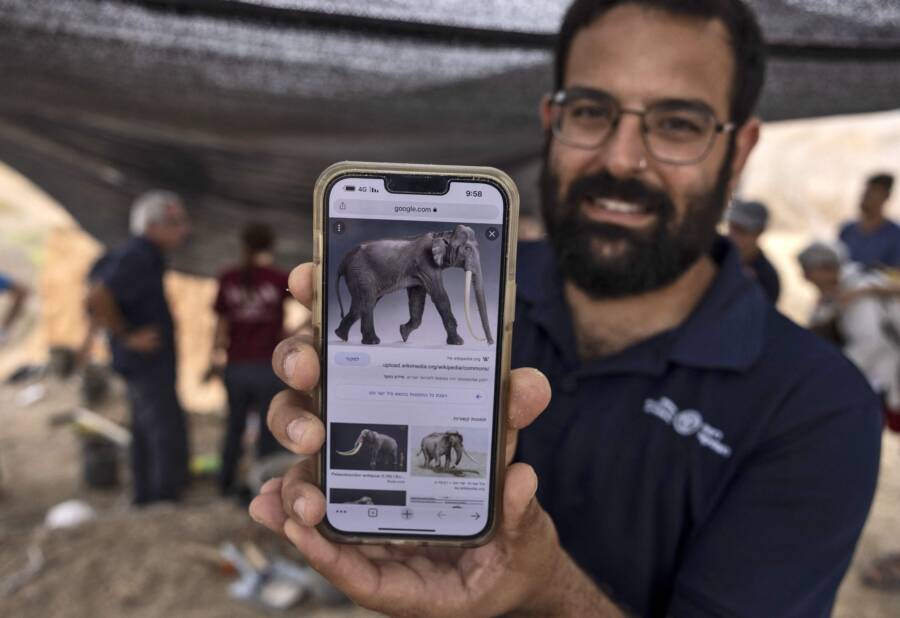 avi levy - Archaeologists Unearth 500,000-Year-Old Elephant Tusk In Israel