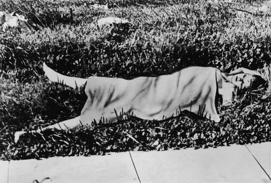 Unraveling The Mystery Of The Black Dahlia Death A Comprehensive