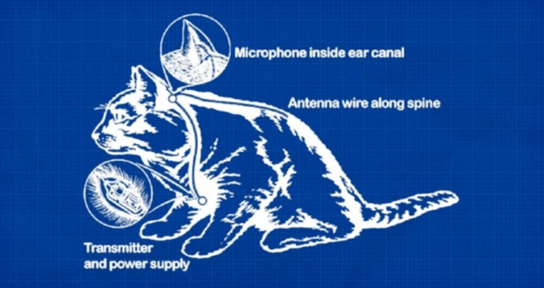 Covert Operations Operation Acoustic Kitty Featured