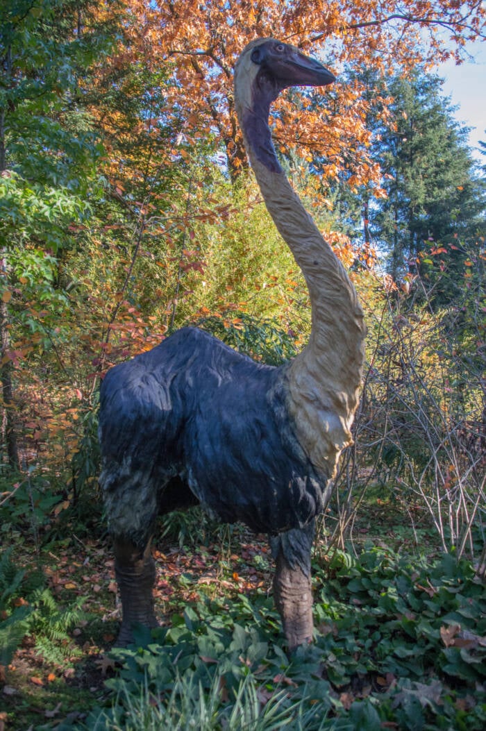 Elephant Bird Model