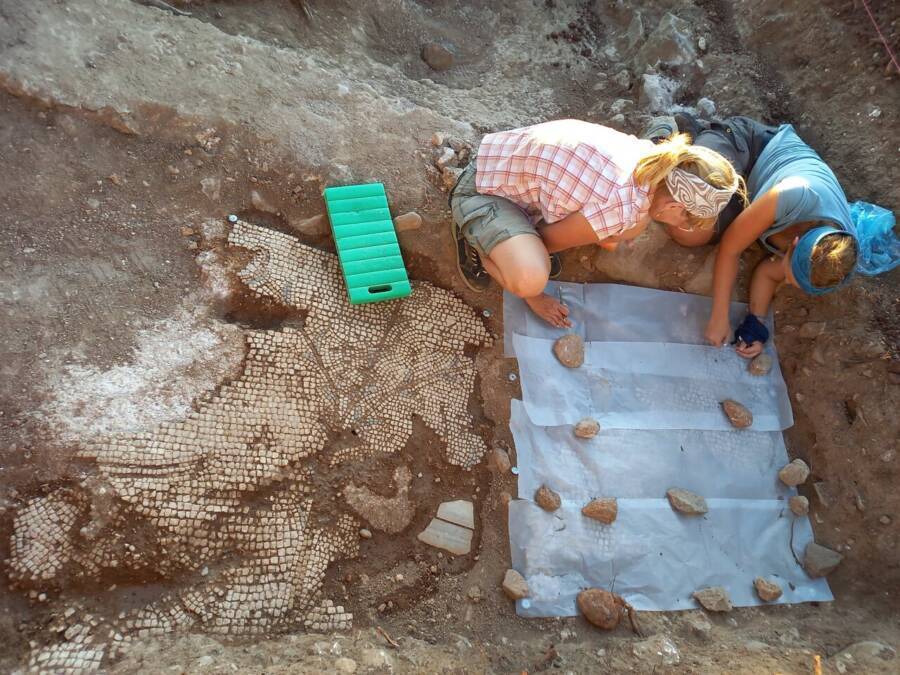 Excavating The Mosaic