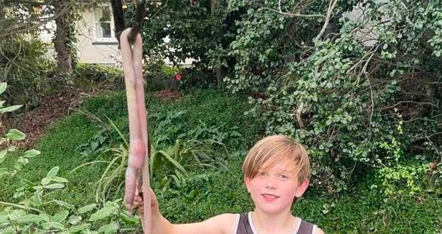 stuff-of-nightmares-9-year-old-boy-finds-three-foot-long-worm
