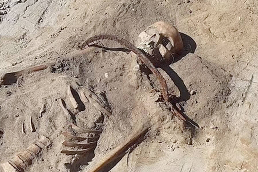 Vampire Skeleton With A Sickle
