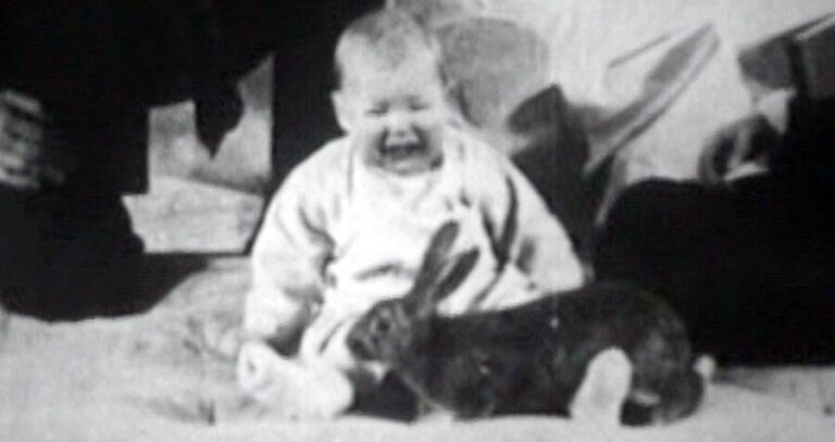 Albert Crying With A Rabbit