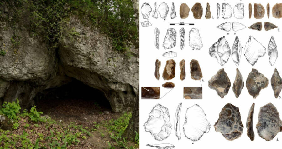 Naukowcy odkrywają w polskiej jaskini narzędzia krzemienne sprzed 500 000 lat