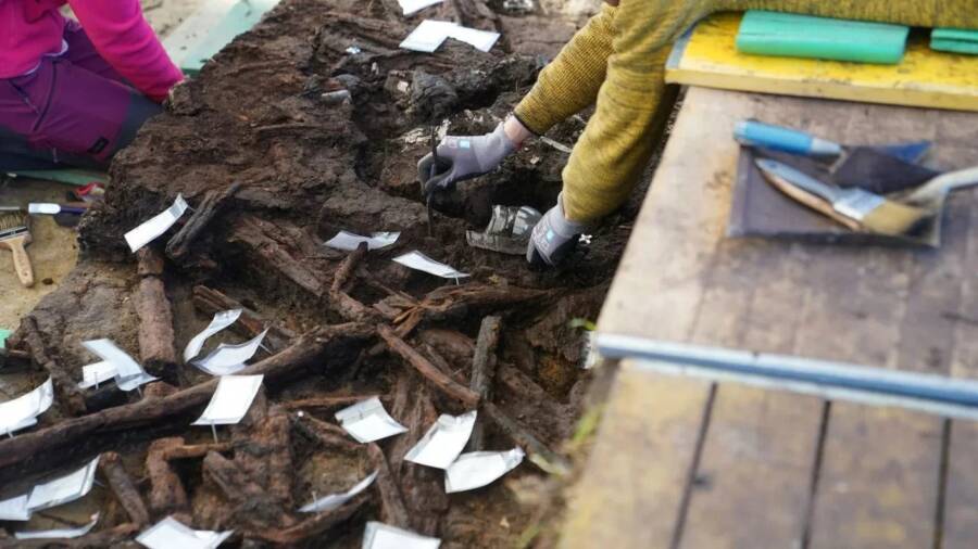 Bones Found In German Bog
