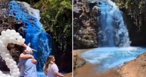 Brazilian Gender Reveal