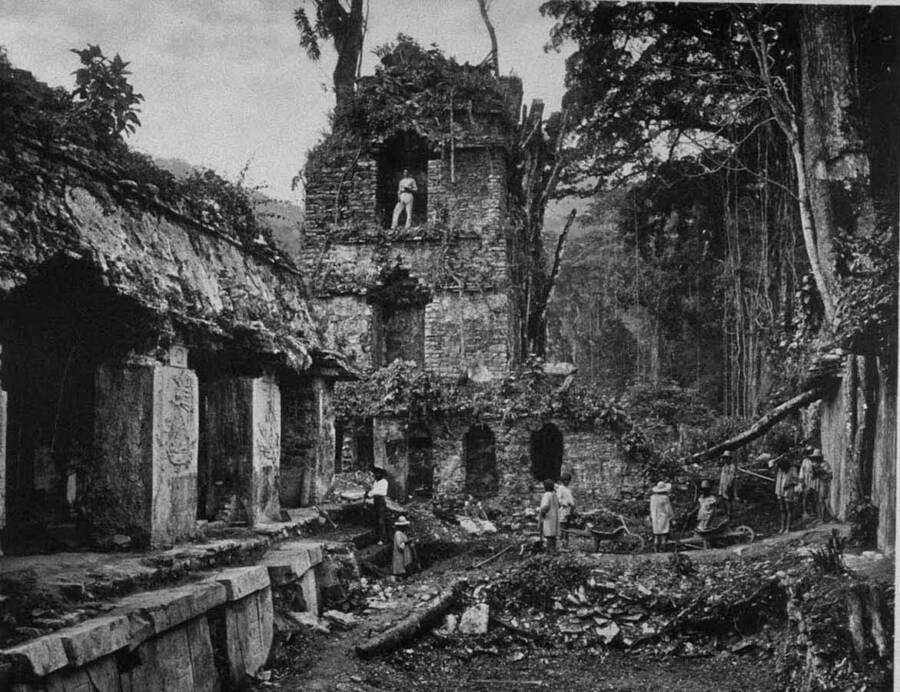 Maya Palace Of Palenque