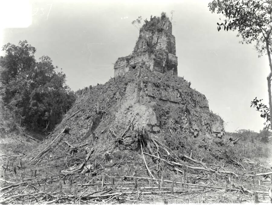 Temple B At Tikal