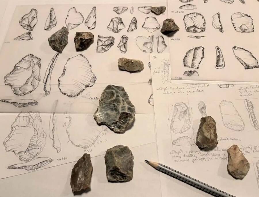 Flint Artifacts Found In Poland