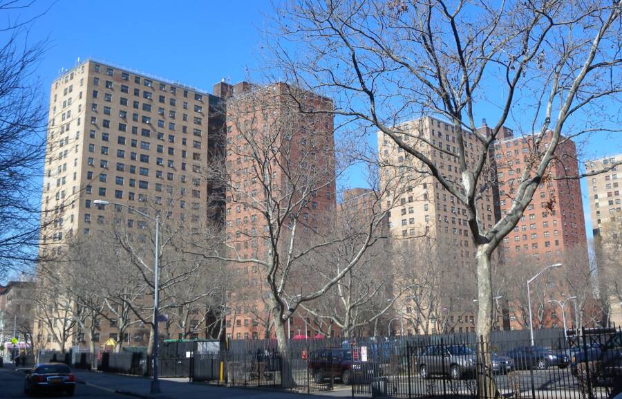 New York City Housing Authority Buildings