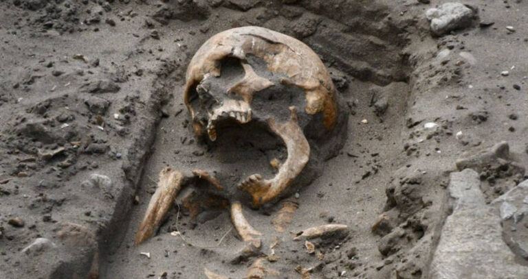 Pembrokeshire Skeleton