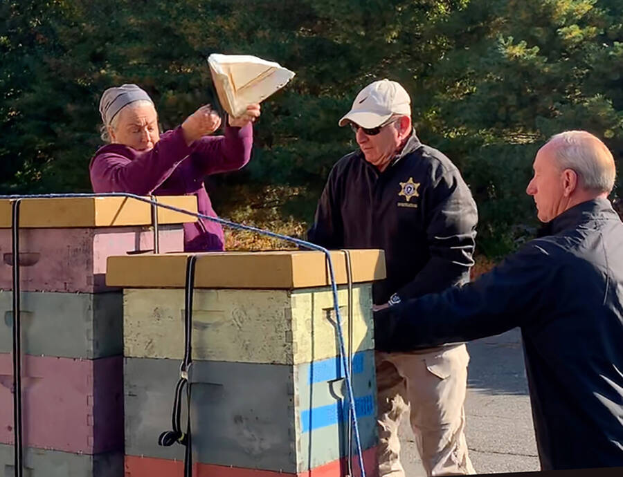 Rorie Susan Woods Releasing Bees