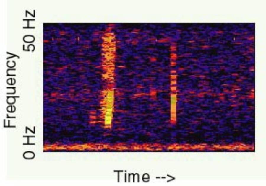 A Spectogram Of The Bloop Sound