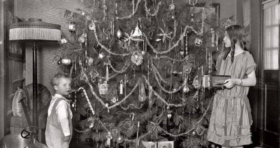 The History Of The Christmas Tree, From Pagan Origins To Today