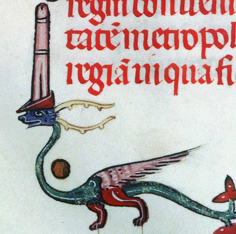 Dragon With Penis-Like Head