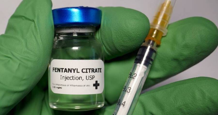 Fentanyl Vaccine Shows Promise Ahead Of Human Trials