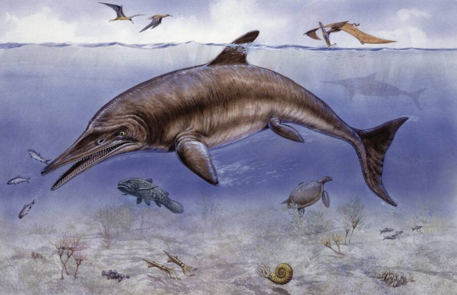 Ichthyosaur Depiction