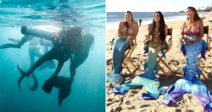 Mermaid Rescue Alongside Three Mermaids