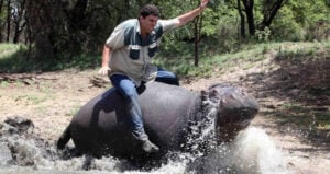 Pets That Killed Their Owners