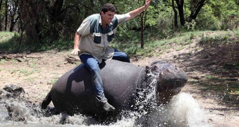 Pets That Killed Their Owners