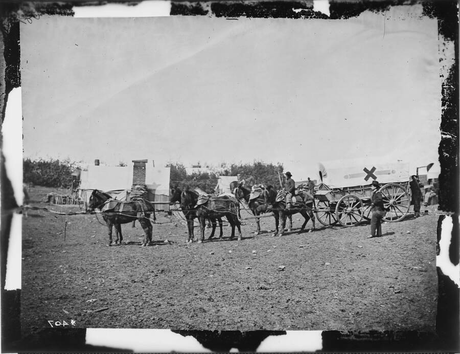 44 Mathew Brady Photos That Capture The American Civil War