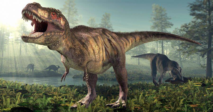 The T Rex May Have Been 70 Percent Larger Than Believed 3354