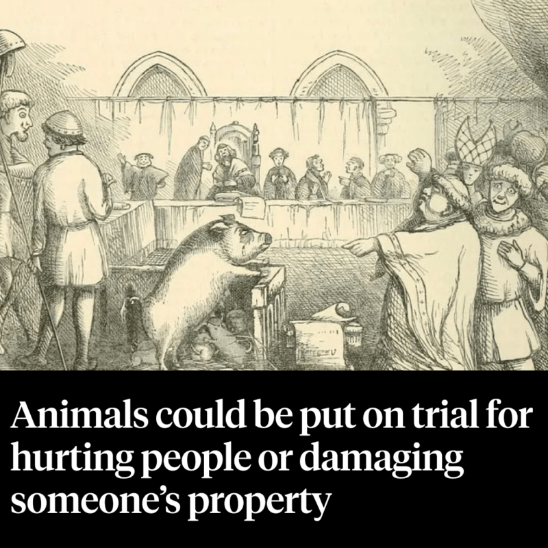 Facts About Animal Trials During The Middle Ages