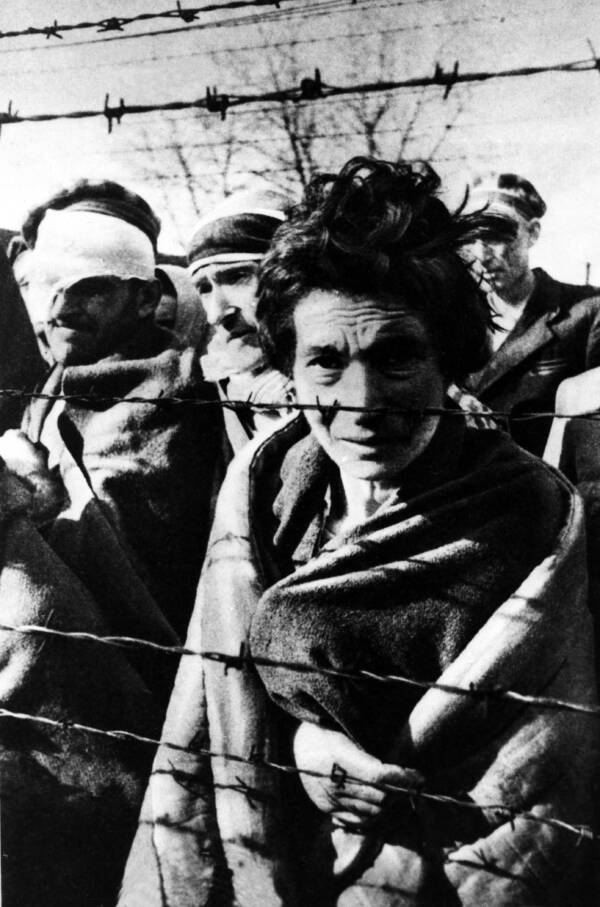 Auschwitz Liberation Survivors