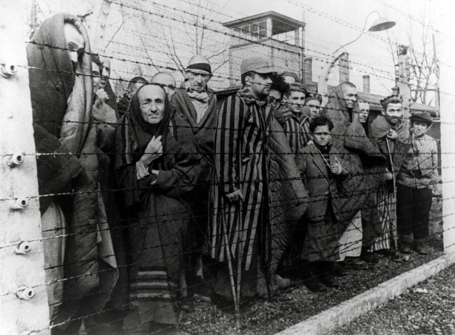 Auschwitz Prisoners Behind Barbed Wire
