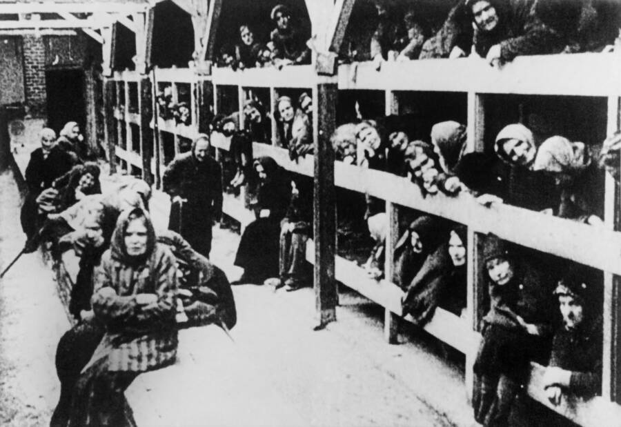 Auschwitz-Frauen