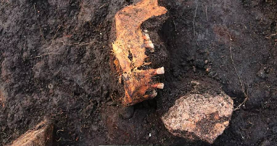 5,000-Year-Old Danish 'Bog Body' May Have Been Sacrificed