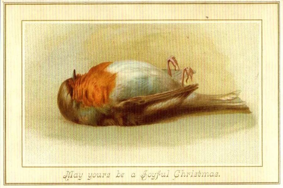 Dead Bird Christmas Card