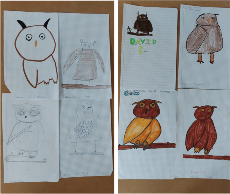 Drawings Of Owls