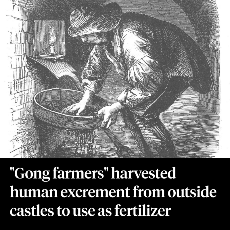 37 Astounding Medieval Facts About Life In The Middle Ages